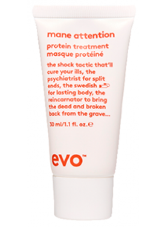 mane attention protein treatment travel size