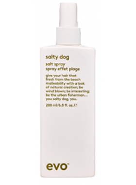 salty dog salt spray 