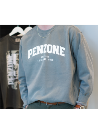  Penzone Gray University Sweatshirt (Size Large)